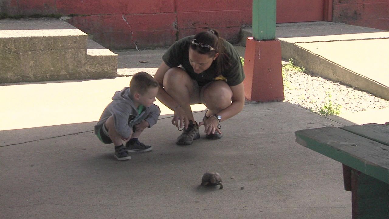 Johnny Appleseed Park District connect with youth through BEETLE1.jpg